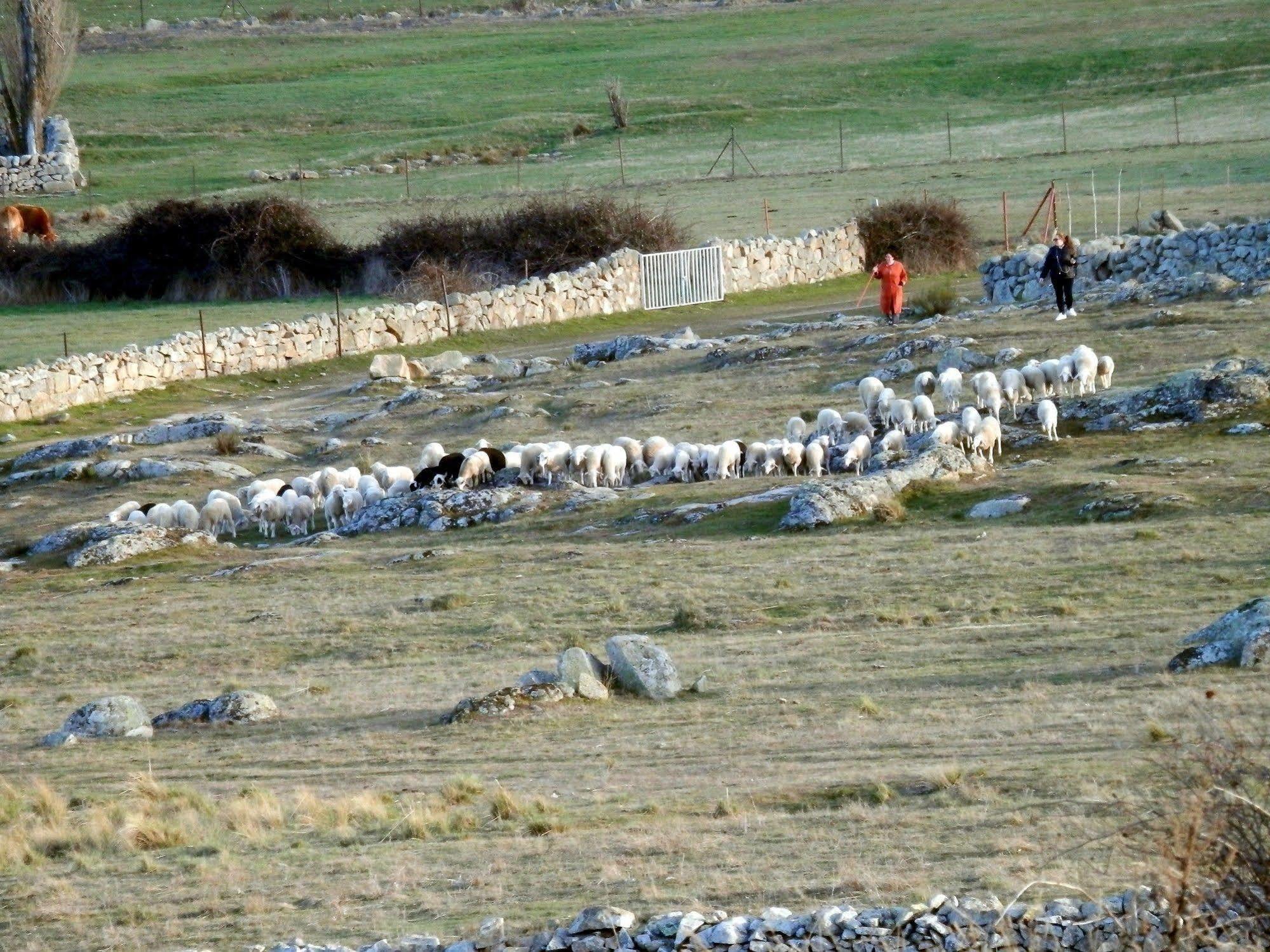 Casa Rural El Dolmen Guest House Bernuy-Salinero Екстериор снимка